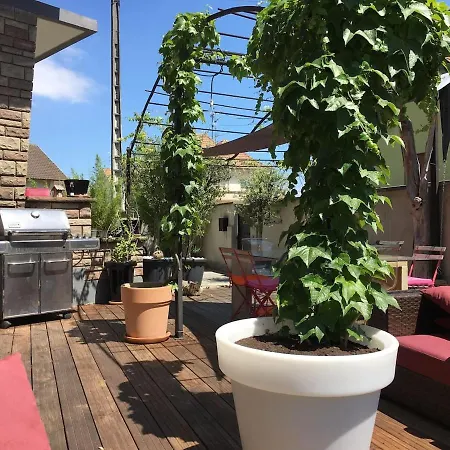 Le Pied A Terre Selestadien Chalet Selestat